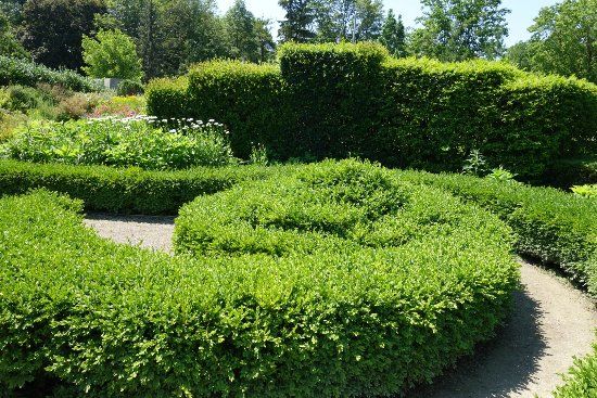 Jardin botanique de Toronto
